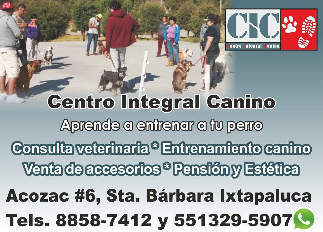 Diversión para perros - Centro integral canino en Ixtapaluca